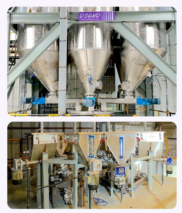 Automated production facility at DSAND