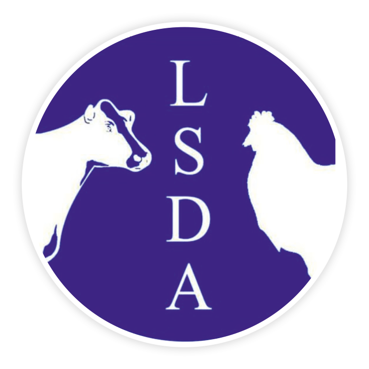 LSDA