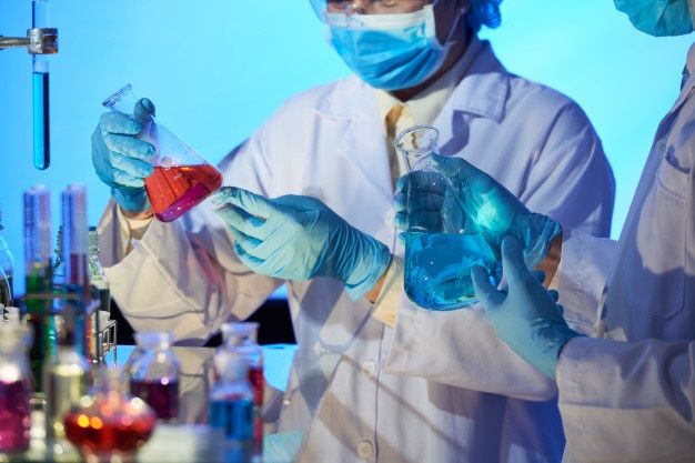Researchers collaborating on nutrition strategy