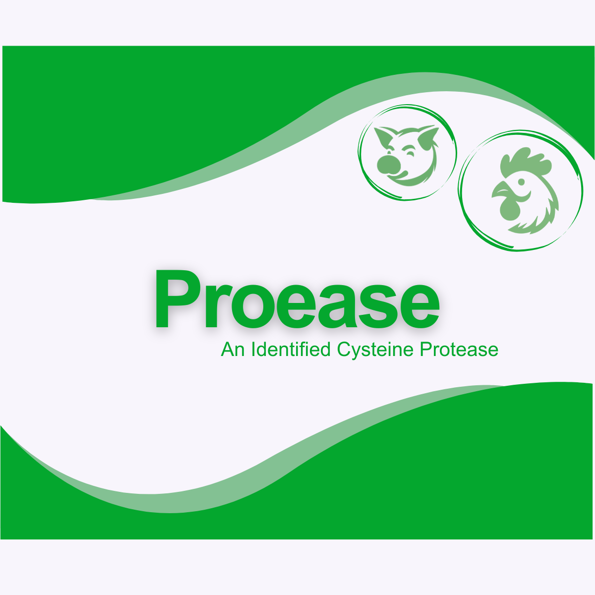 PROEASE