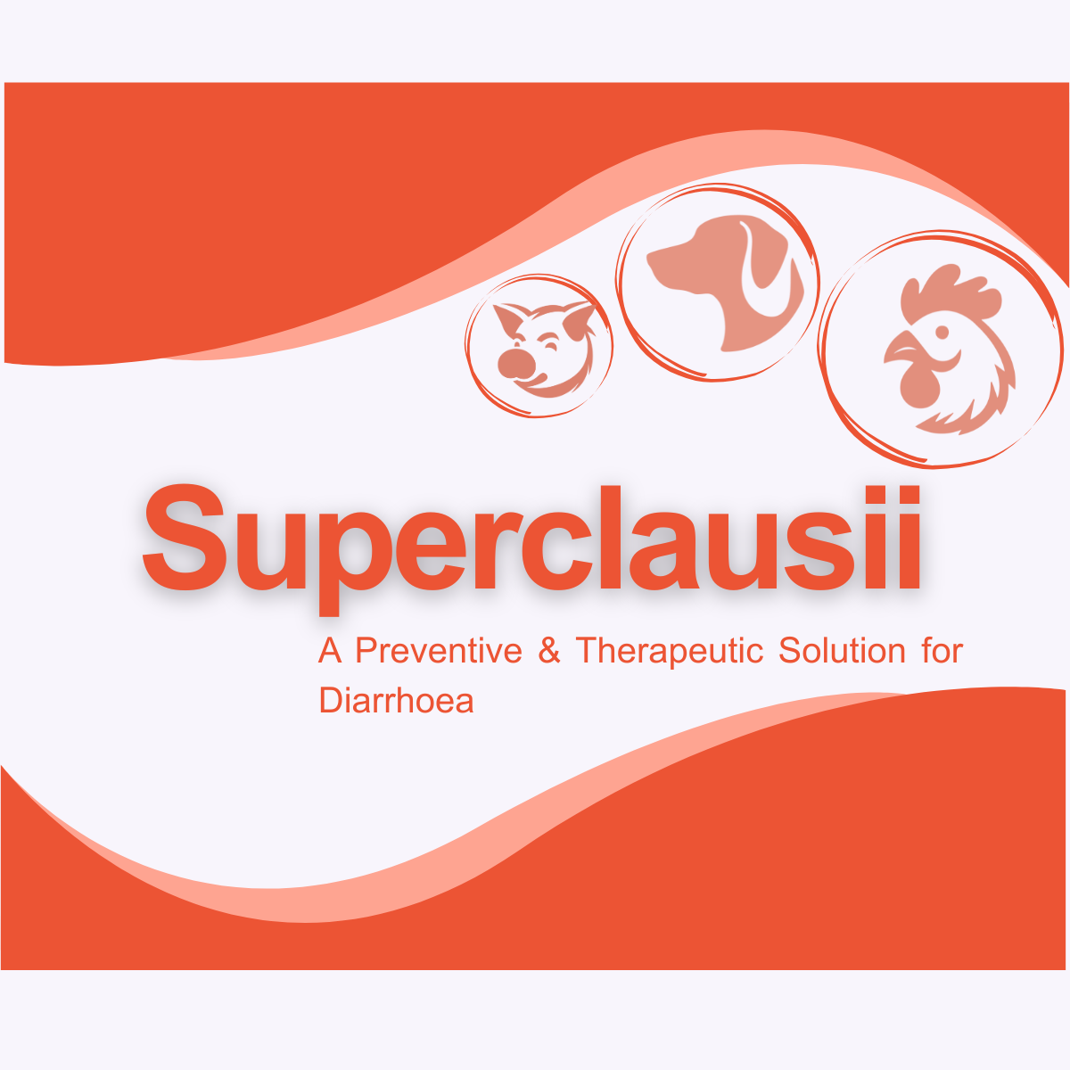 SUPERCLAUSII