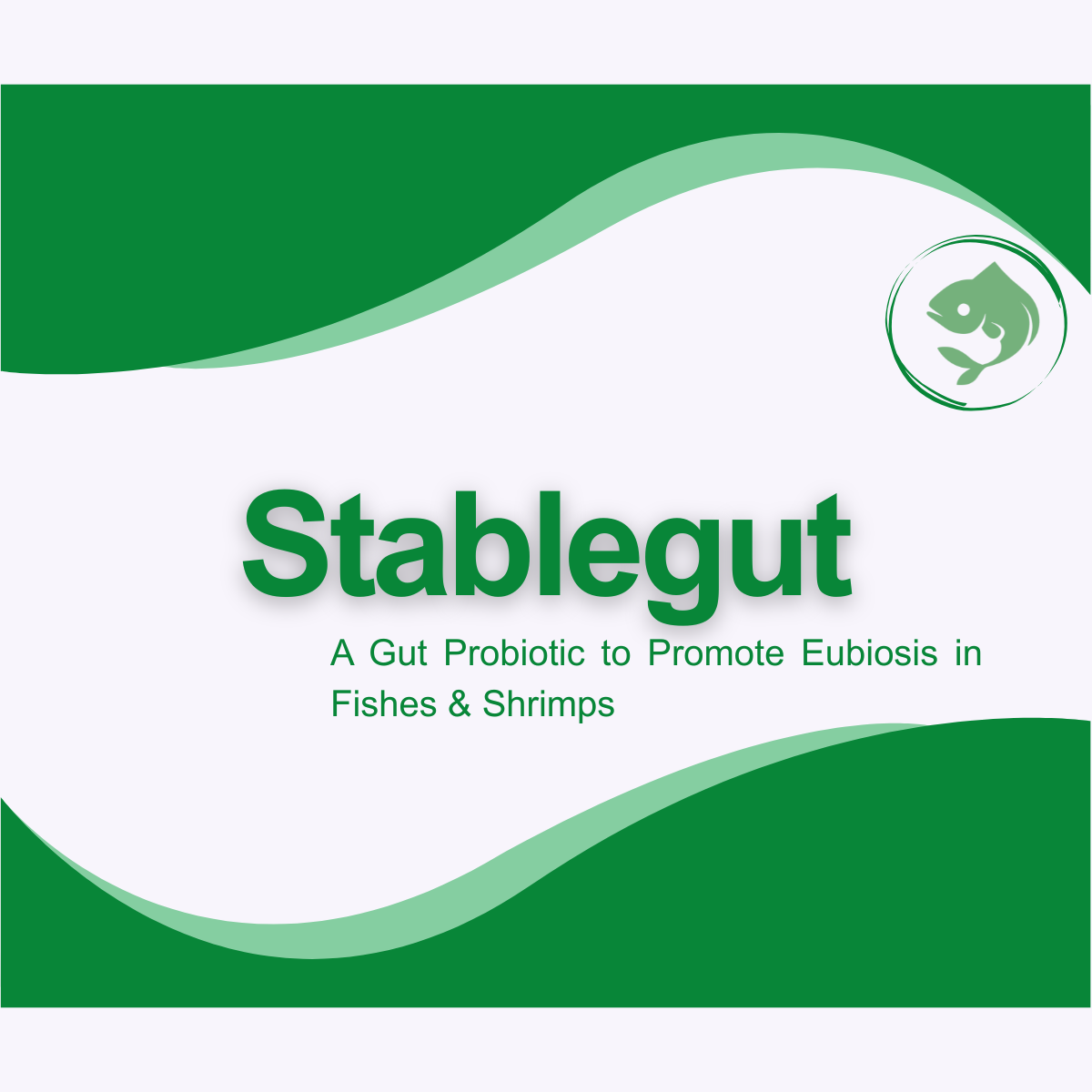 STABLEGUT product packshot