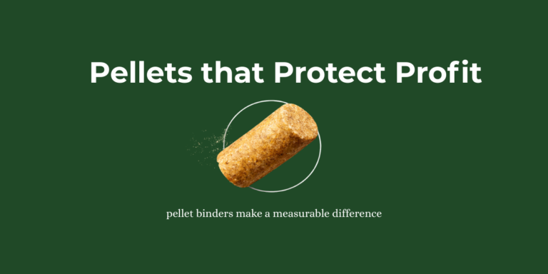 Improve Feed Quality